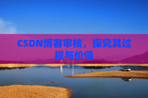 CSDN博客审核，探究其过程与价值